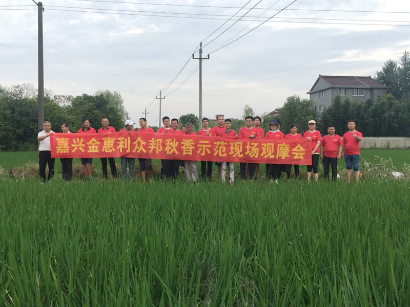 嘉兴金惠利组织开展“秋香”除草剂观摩会