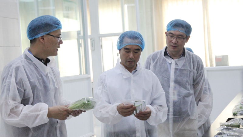 绍兴市教育局、市场监管局领导赴浙农茂阳督查食品安全工作