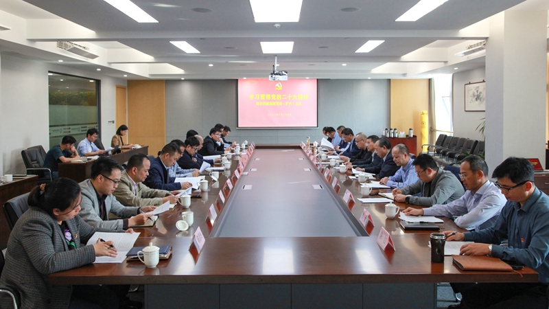 集团召开党委（扩大）会议传达学习贯彻党的二十大精神