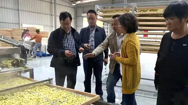微信图片_20221109170734_副本.jpg