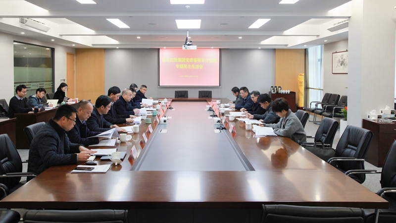 集团党委召开巡视审计整改专题民主生活会
